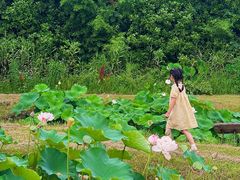 -池杉湖湿地公园