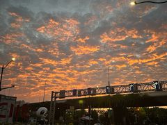 -金水养生(华新店)