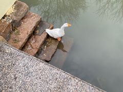 -千灯古镇
