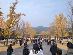 -晋祠公园