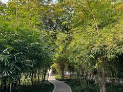-望江楼公园