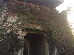 -原山国家森林公园