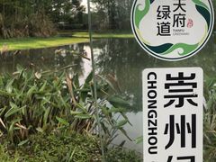 -桤木河湿地公园