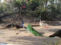 -重庆动物园·东二门售票处