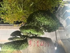 -武汉两江游览·夜游长江(汉口粤汉码头)