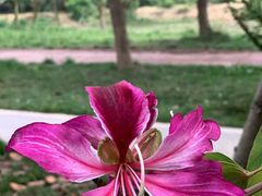 -白鹭湾湿地公园