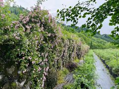 -太阳湾风景区