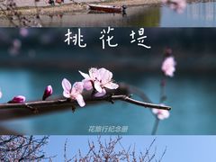 -桃花堤公园