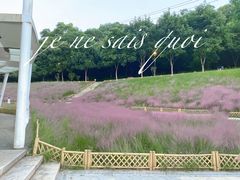 -牛岗山公园
