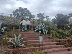 -墨尔本皇家植物园