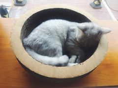 -青春加萌照相馆