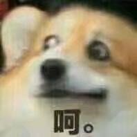 -西安赛瑞喜来登大酒店