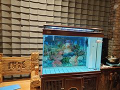 -破瓦寒窑·地摊烤羊排