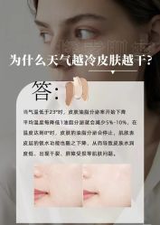 点击看大图 -玛莲朵·海菲秀冰珀科