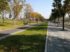 -金银湖国家城市湿地公园