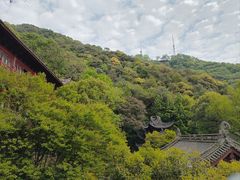 -韬光茶庵