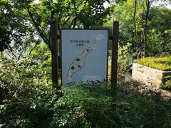 -上海市保健医疗中心