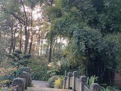 -南山植物园