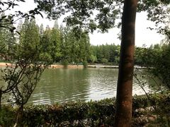 -黄兴公园