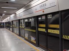 -杨高南路(地铁站)