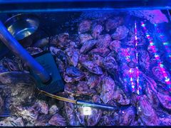 -陈老斯呼尔嗨吃烧烤(科巷店)