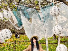 -名花谷生态庄园