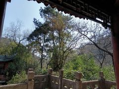 -黔灵山公园