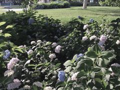 -常州古运河南大街文化旅游区-人民公园