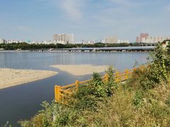 -长白岛森林公园