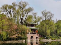 -棠湖公园