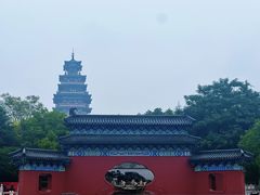 -滕州微山湖红荷湿地景区