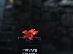 -喜洲吧·江畔老船厂·庭院餐厅(喜临院店)