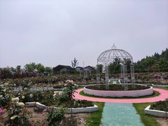 -嘉北郊野公园