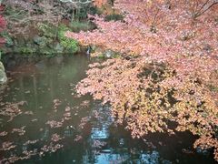 -醍醐寺