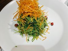 巧拌豆苗-四季民福烤鸭店(王府井东安门店)