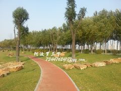 -丁香湖丁香小镇Citypark滑雪公园戏雪嘉年华