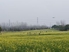 -崔岗艺术村