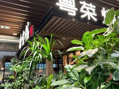 -南棠馆粤菜坊(群光店)