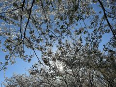 -苏州上方山国家森林公园