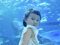-海合安武汉极地海洋公园