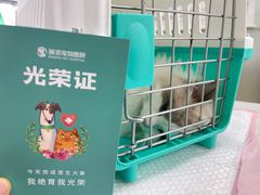 -瑞派雷欧宠物医院·24h夜诊·心脏骨科牙科·全科重症转诊中心(无影山店)
