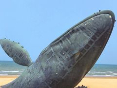-烟台金沙滩海滨公园