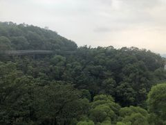 -福道