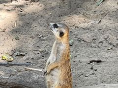 -北京野生动物园