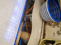 -扶摇树下·椒麻鲜活虾(石家庄勒泰广场店)