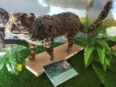 -下渚湖国家湿地公园科普馆