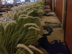 -世外桃源水疗会(皇庭彩园店)