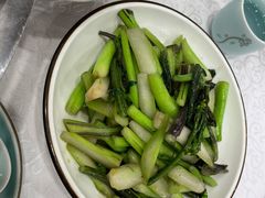 清炒菜苔-九头鸟酒家(四道口店)