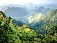 -东天目山风景区