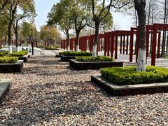 -春花秋色城市公园